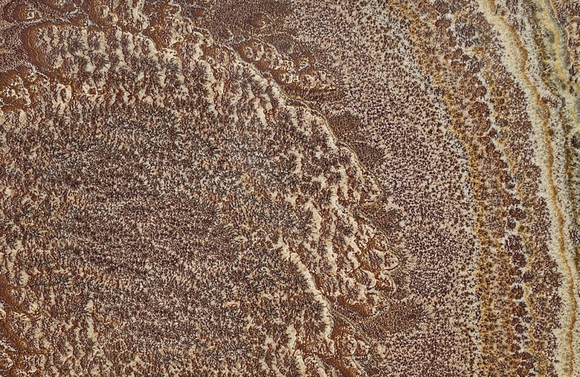 PEACOCK ONYX