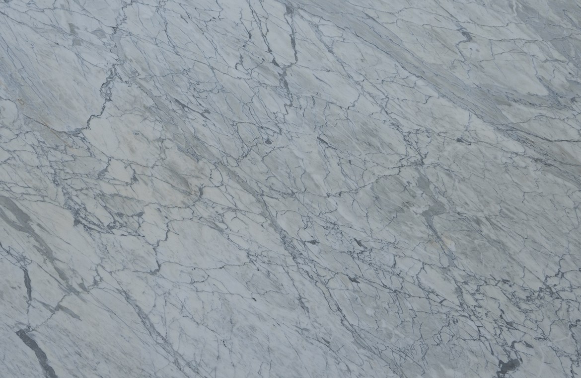 CALACATTA BELGIA